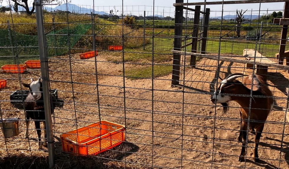 奈良県の三宅町に行ってきた。日本で2番目に小さな町。 ENJOYWORKS OSAKA エンジョイワークス オオサカ